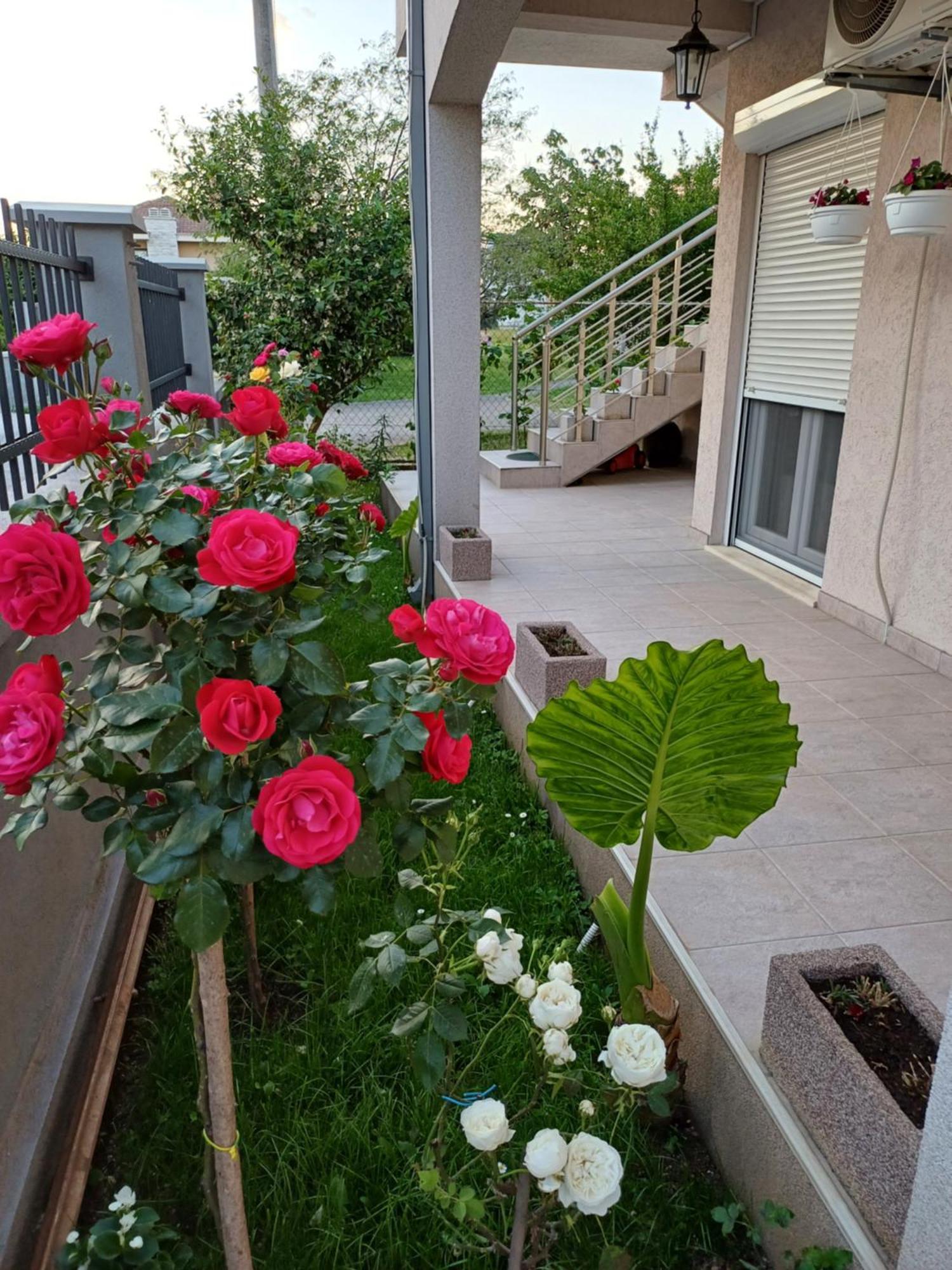 Entire House Floor - 2-Bedroom Cozy & Peaceful Apartment بودغوريتْسا المظهر الخارجي الصورة